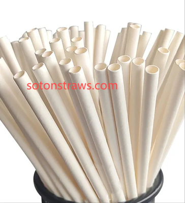 Beyond Plastic Rivers: Soton's Paper Straws Manufactory Vision 