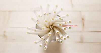 Inside Soton's High-Performance Paper Straws Manufactory
