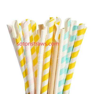 Why Most Sustainable Straw Startups Collapse & How Soton Thrive