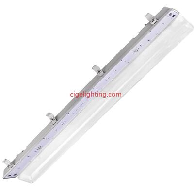 Cigelighting's Led Tri-proof Lamp Factory